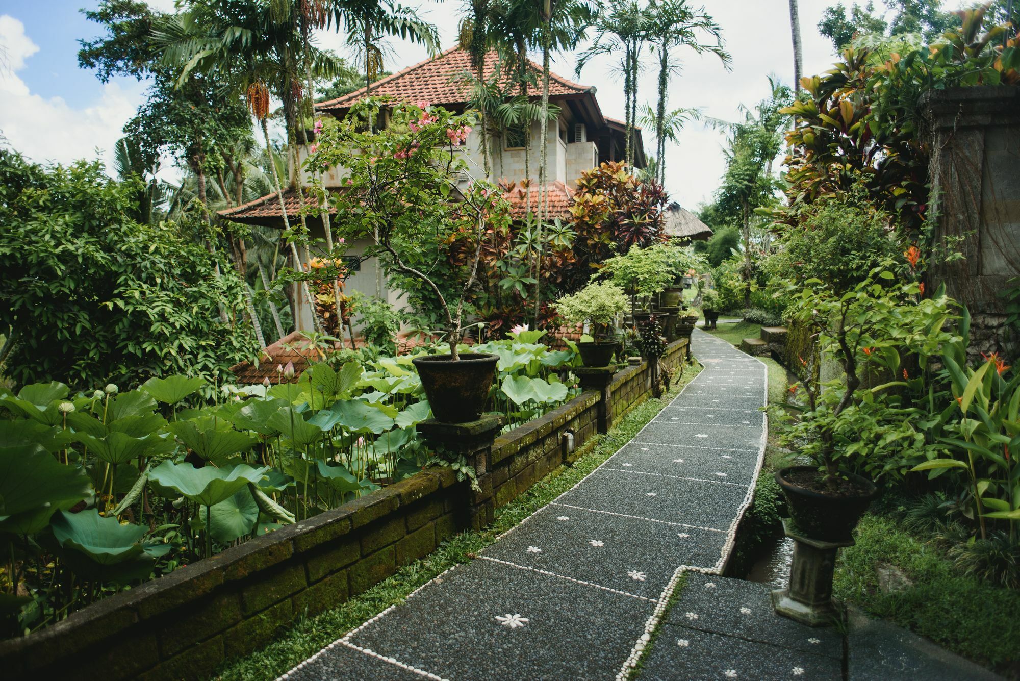 Alam Jiwa Ubud Hotel Exterior photo